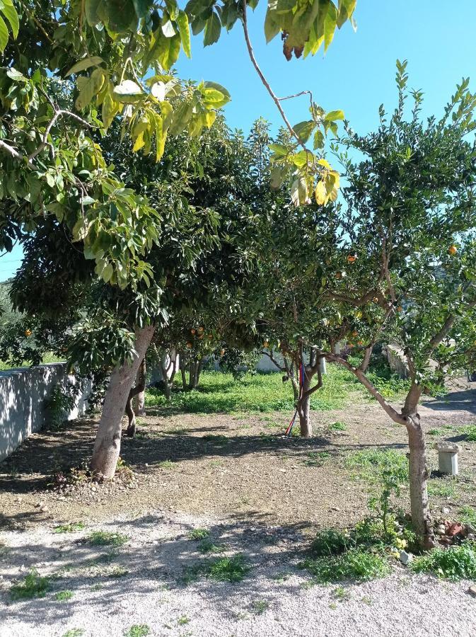 Avocado House Villa Finikounta Exterior photo